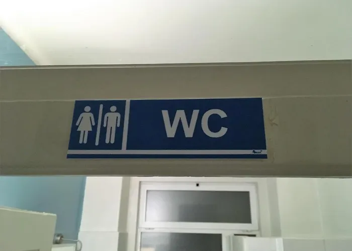 Garden Flower Lisbon