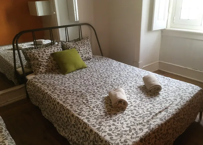 Garden Flower Lisbon