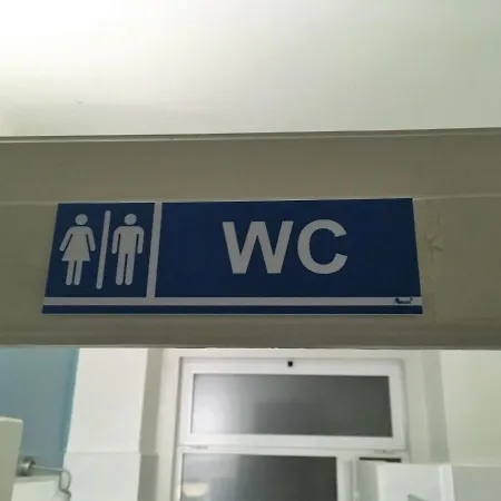 Garden Flower Lisboa